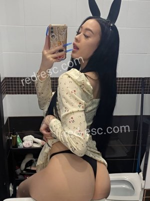 Дина — Саки